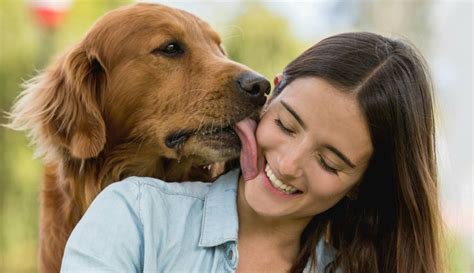 perros cojiendo con mujeres|Mujeres y perros teniendo sexo salvaje caliente